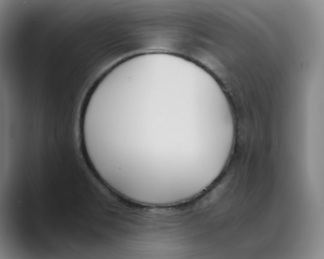 X0000088681469200706281932