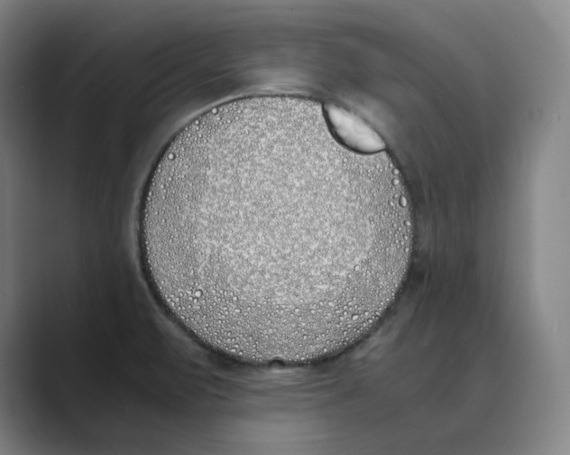 X0000088681471200706281932