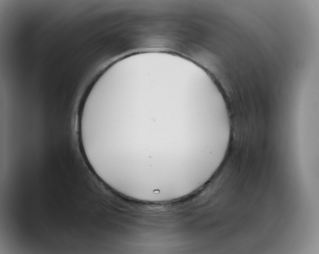 X0000088681472200706281932