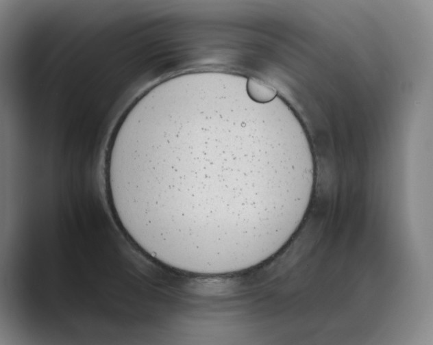 X0000088681474200706281932