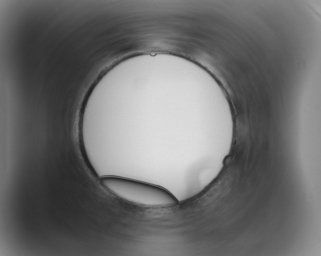 X0000088681477200706281932