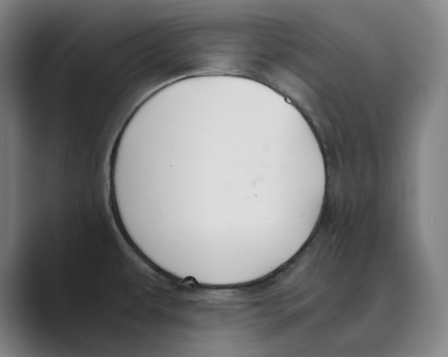 X0000088681479200706281932