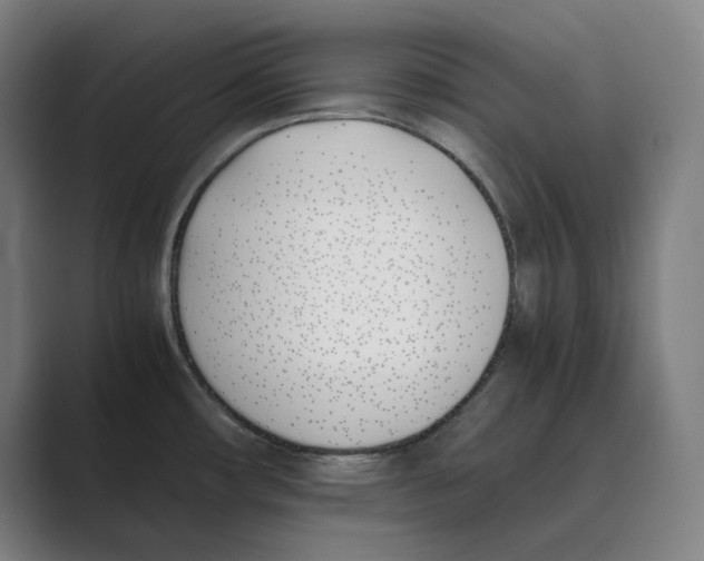 X0000088681482200706281932