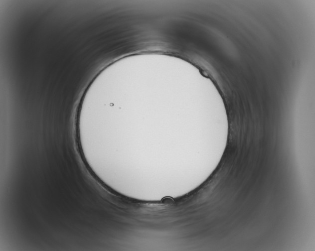 X0000088681483200706281932