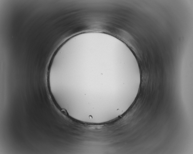 X0000088681484200706281932