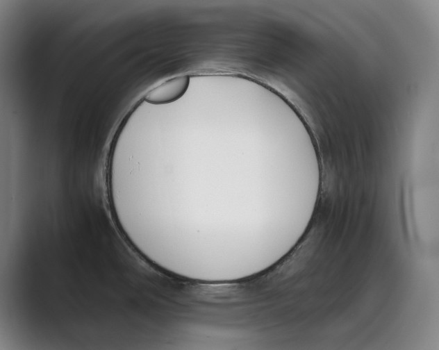 X0000088681486200706281932