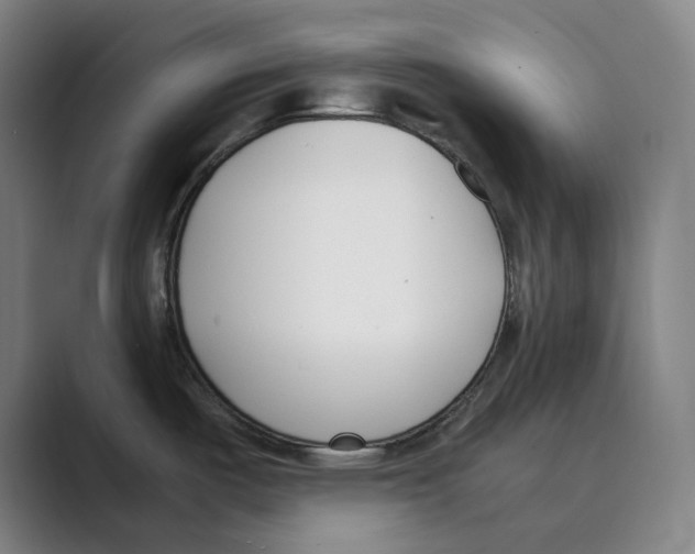 X0000088681487200706281932