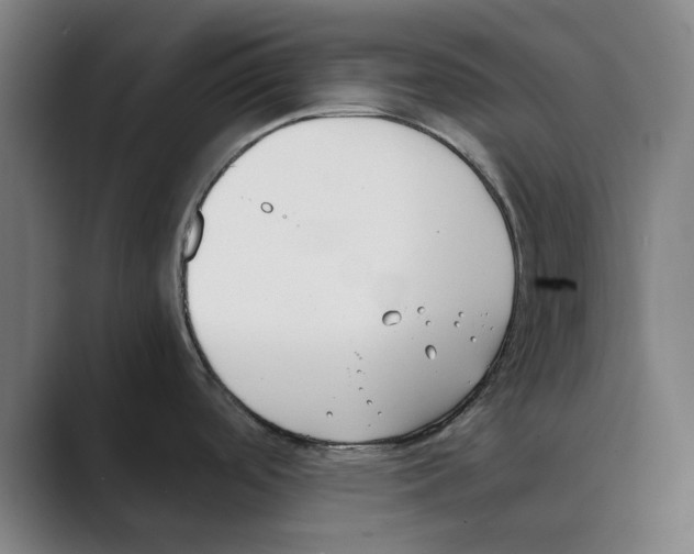 X0000088681488200706281932