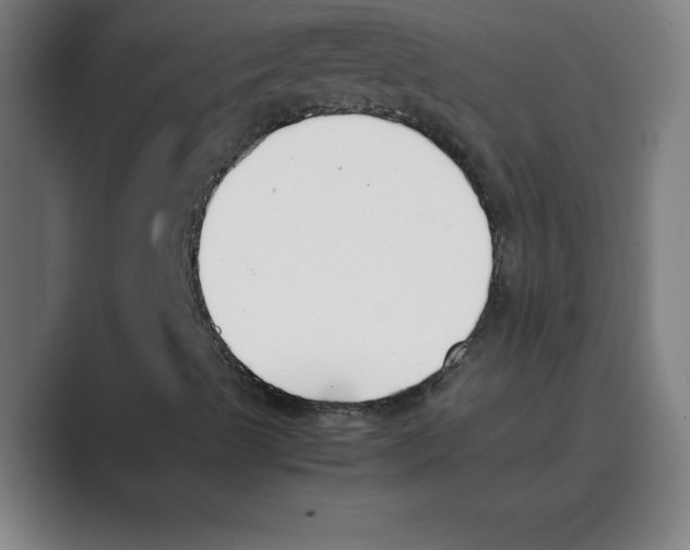 X0000088681489200706281931