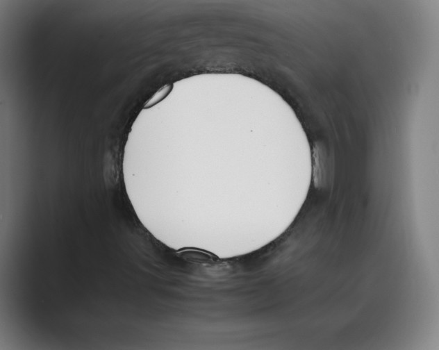 X0000088681491200706281932