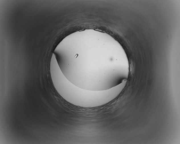 X0000088681492200706281932