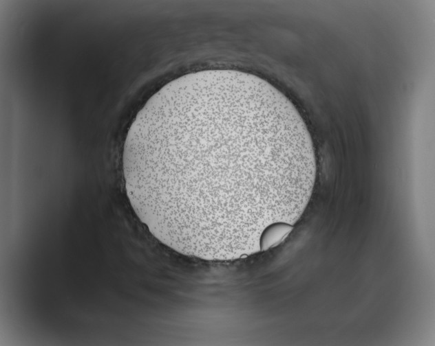 X0000088681494200706281932