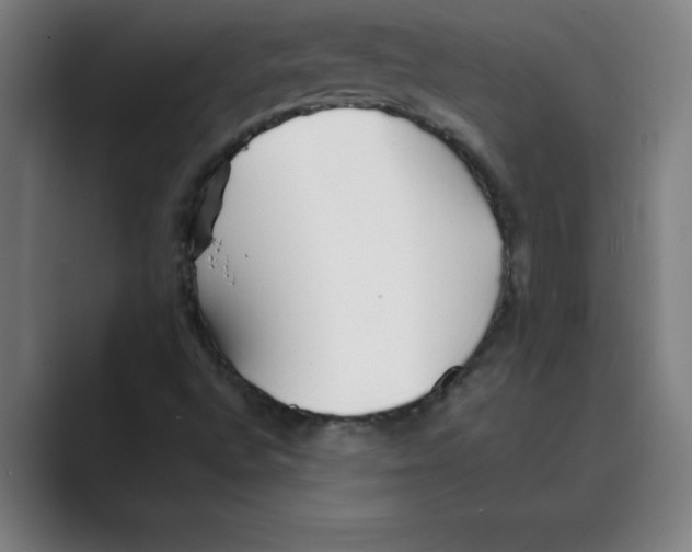 X0000088681496200706281932