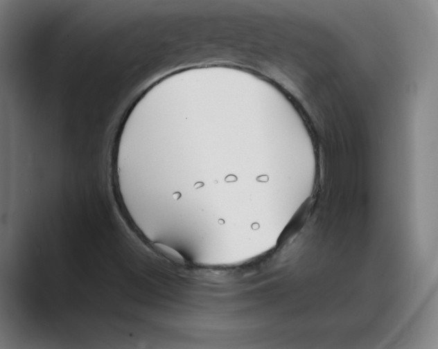 X0000088681500200706281932