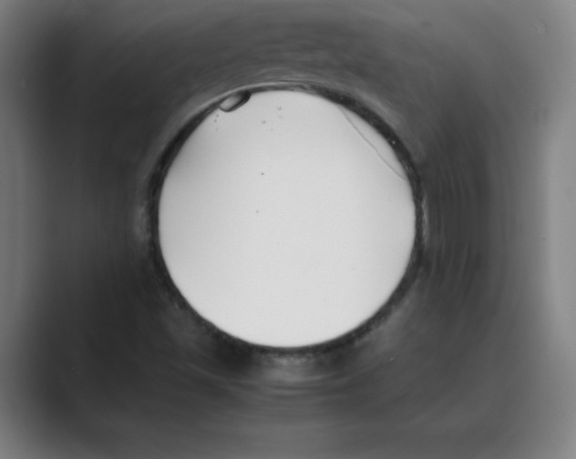 X0000088681501200706281932