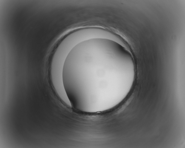 X0000088681502200706281932