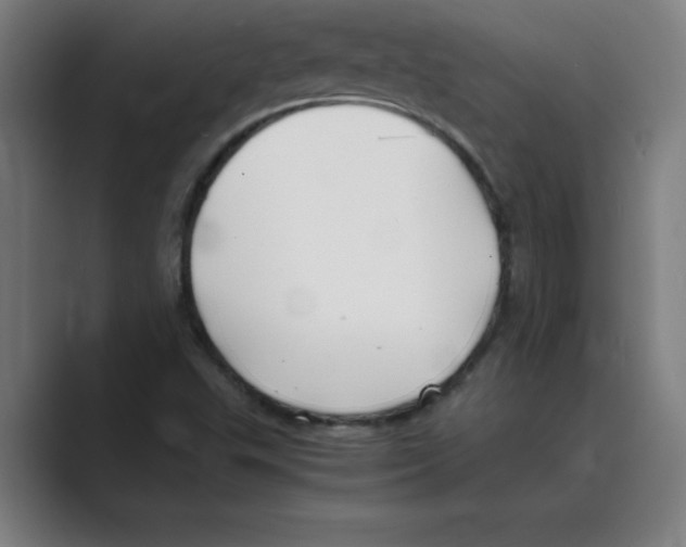 X0000088681503200706281932