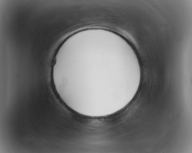 X0000088681504200706281932