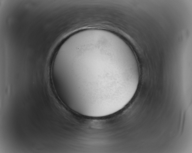 X0000088681506200706281932