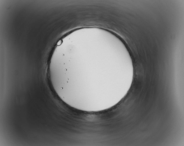 X0000088681507200706281932