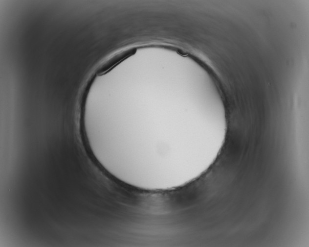 X0000088681508200706281932