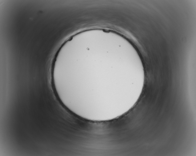 X0000088681512200706281932