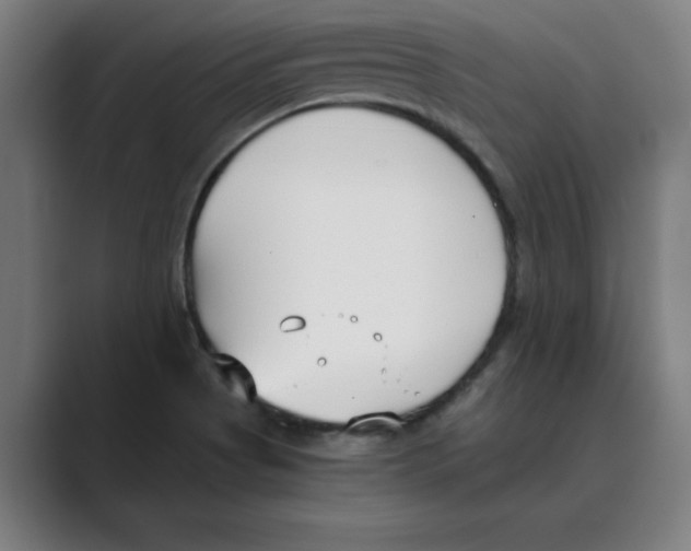 X0000088681513200706281932