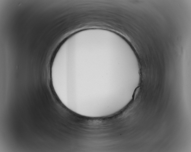 X0000088681515200706281932