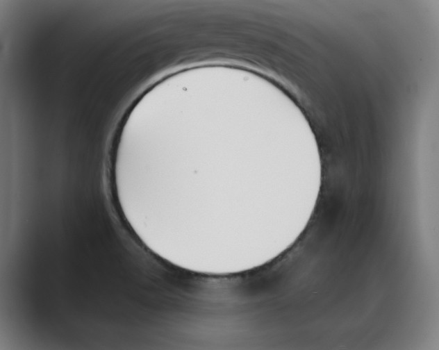 X0000088681518200706281932