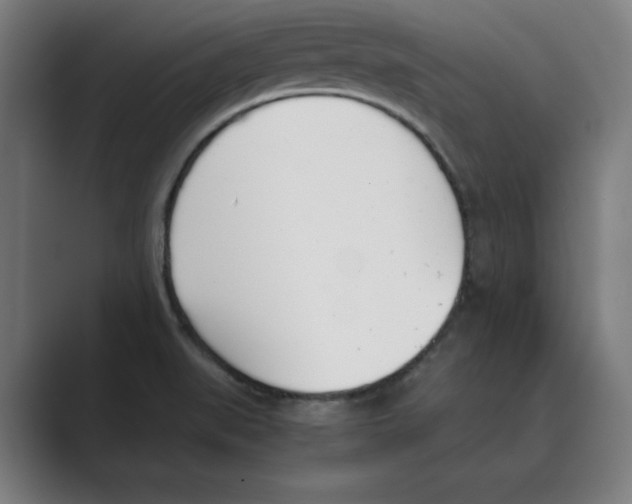 X0000088681519200706281932