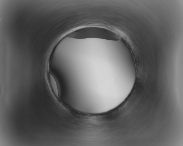 X0000088681520200706281932