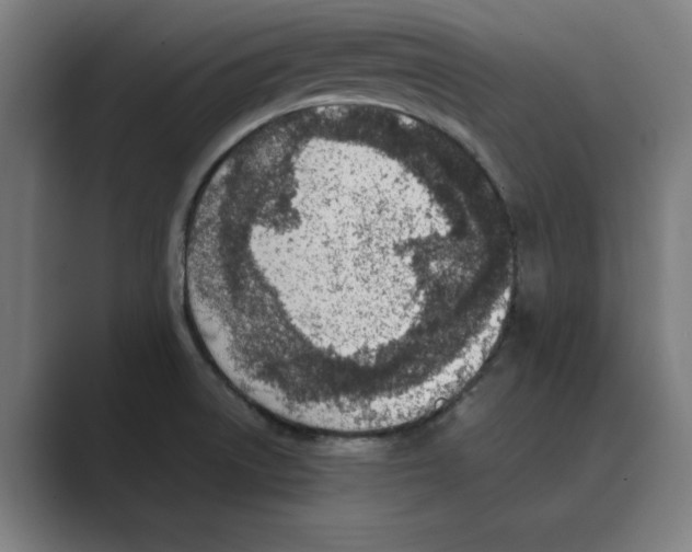 X0000088681522200706281932