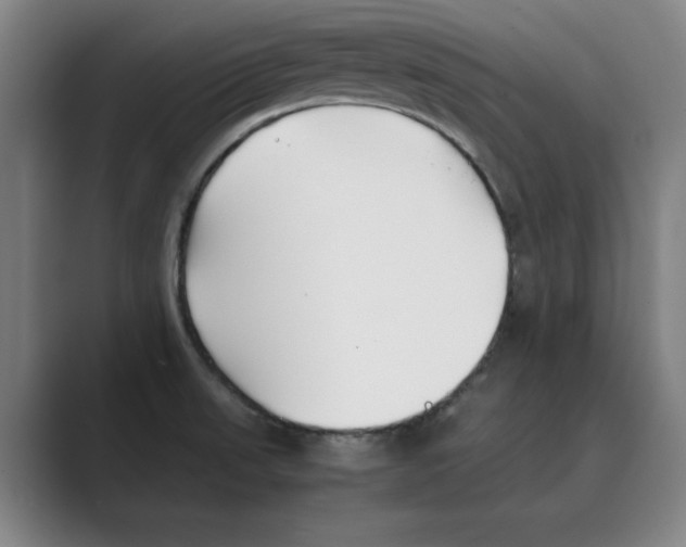 X0000088681523200706281932