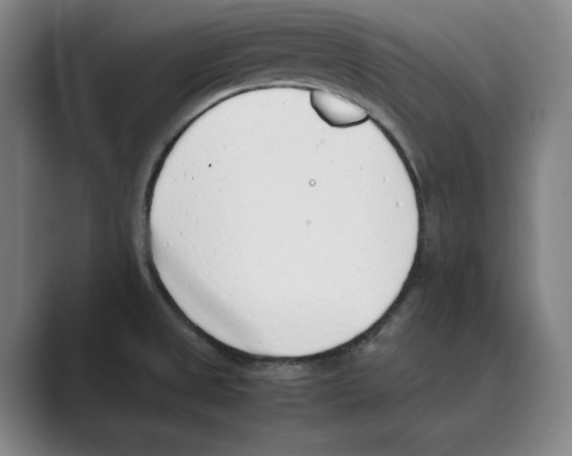 X0000088681525200706281932