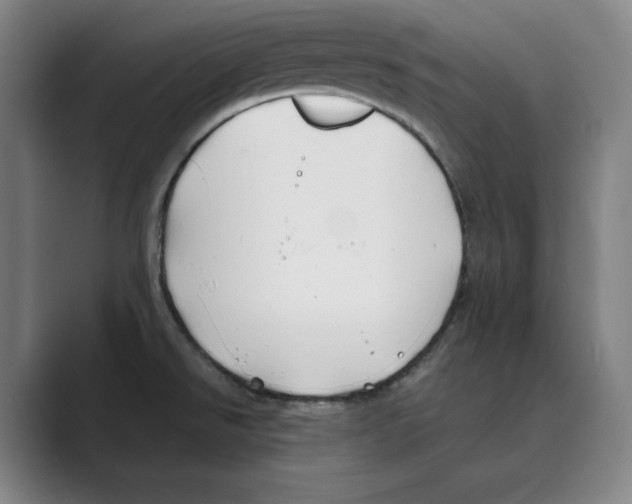 X0000088681526200706281932