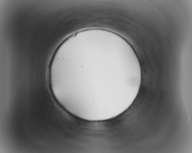 X0000088681527200706281932