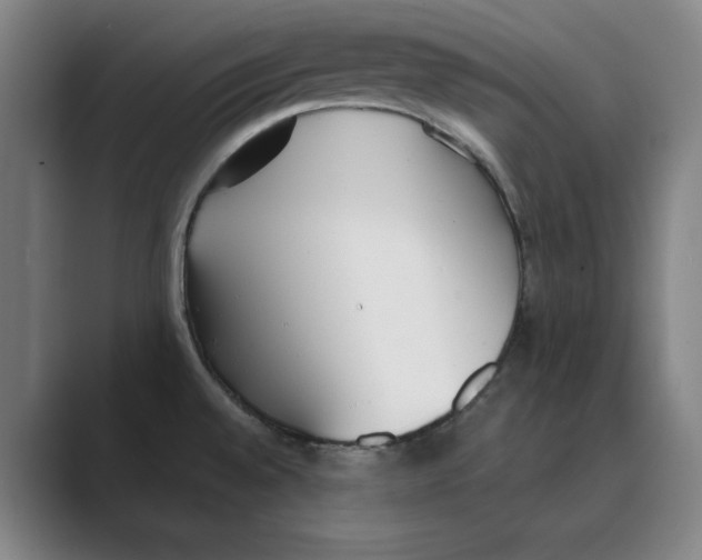 X0000088681528200706281932