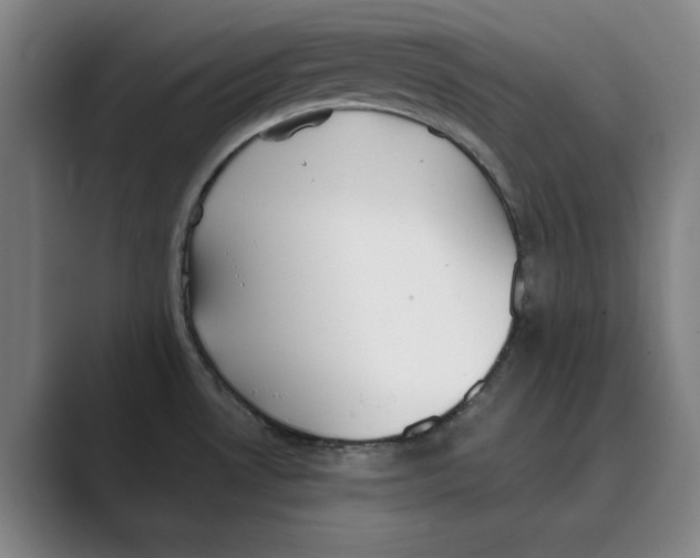 X0000088681530200706281932