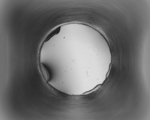 X0000088681532200706281932