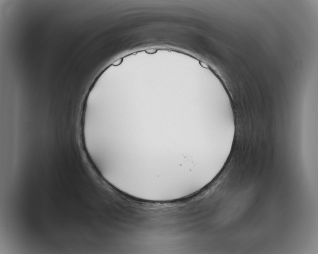 X0000088681534200706281932