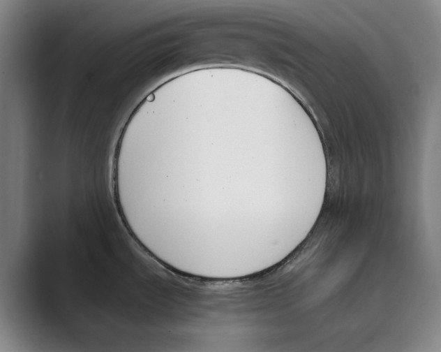 X0000088681535200706281932