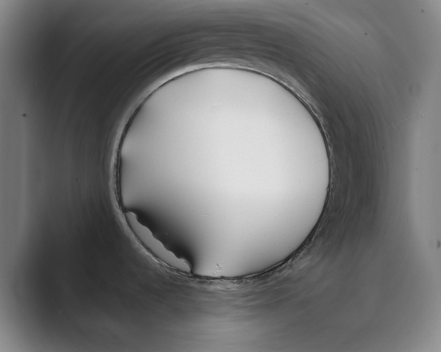 X0000088681536200706281932