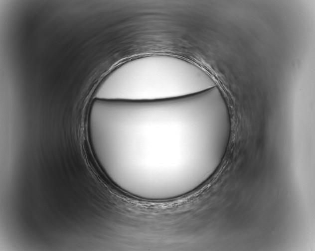 X0000088690002200705311006