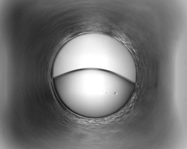 X0000088690003200705311006
