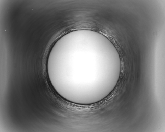 X0000088690004200705311006