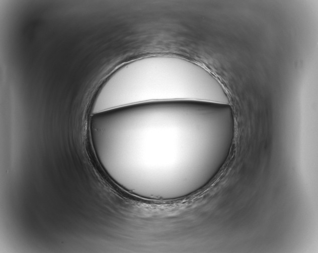 X0000088690005200705311006
