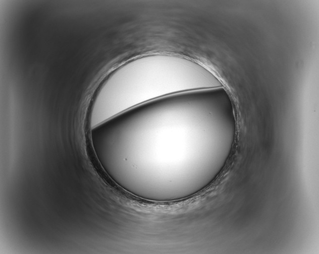 X0000088690007200705311006