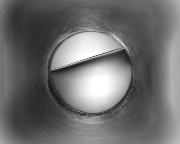 X0000088690008200705311006
