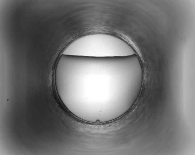 X0000088690010200705311006