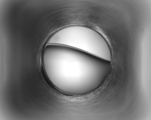 X0000088690011200705311006